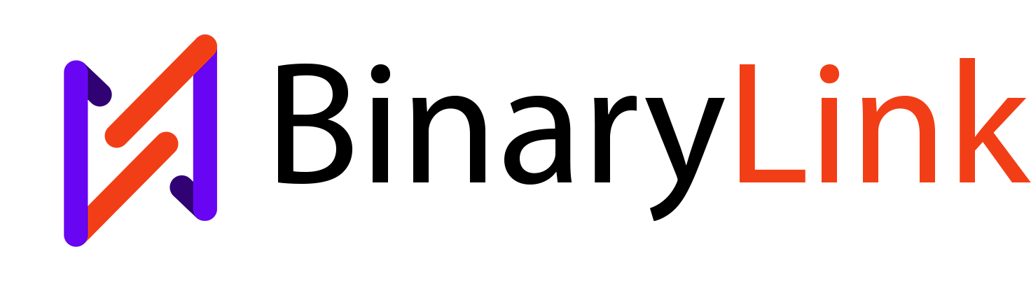 BinaryLink Logo